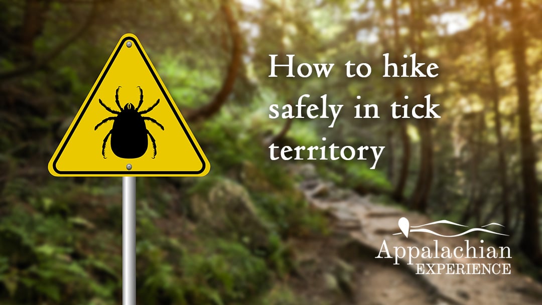 How to hike safely in tick territory